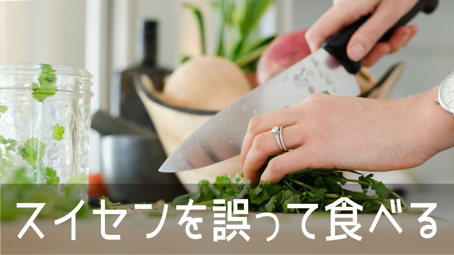 ニラと間違えてスイセンを誤食して食中毒の事故が絶えないのはなぜ？