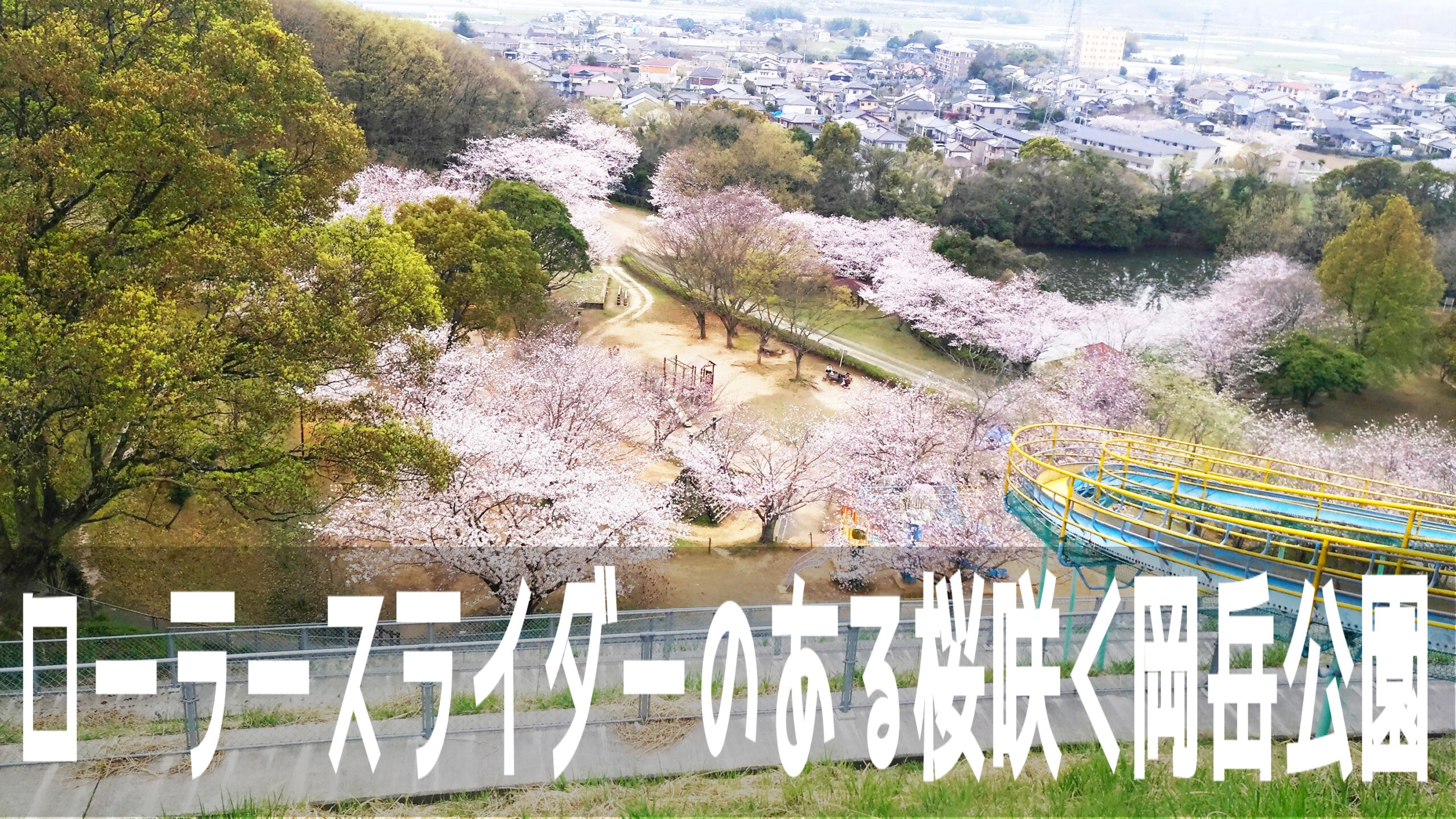 全長８０mのローラースライダーや宇賀岳古墳もある桜の名所「岡岳公園」