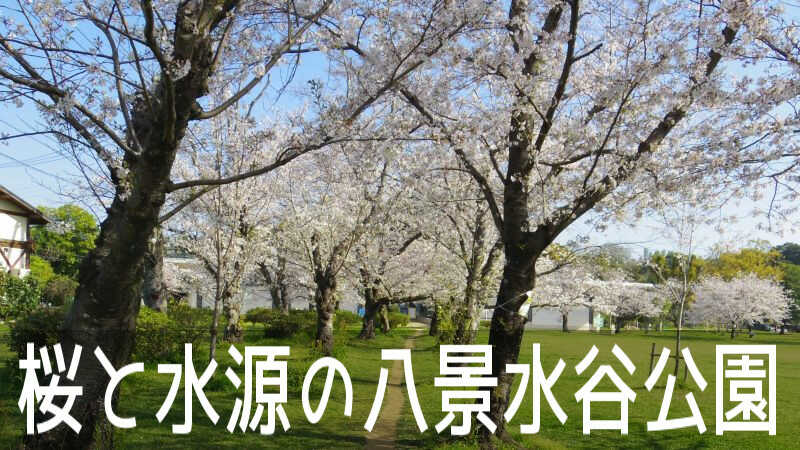 水源を有する熊本市の水道発祥の地で桜の名所「八景水谷公園」